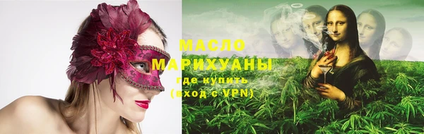 крисы Ельня
