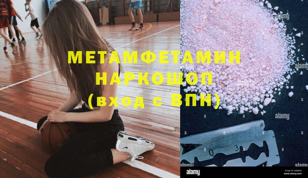 крисы Ельня