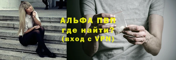 крисы Ельня