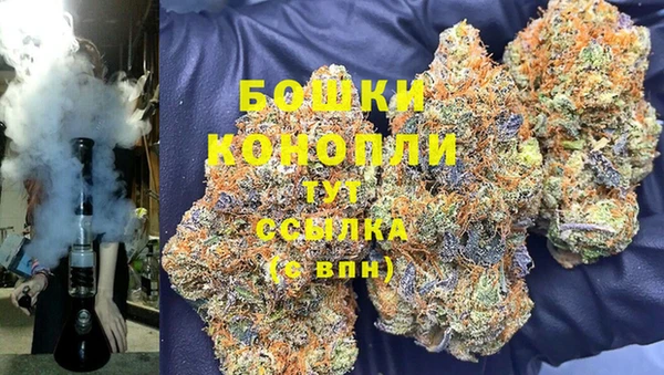 крисы Ельня