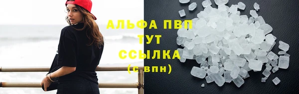 крисы Ельня