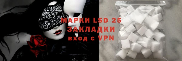 стафф Елабуга