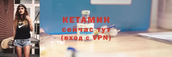 крисы Ельня
