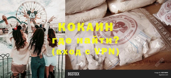 крисы Ельня