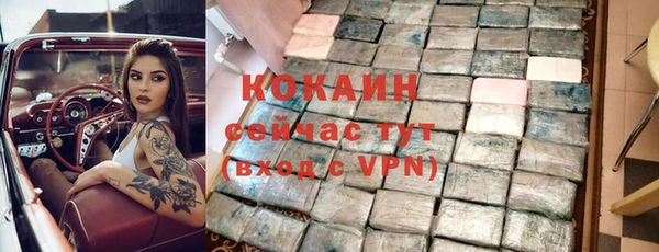 крисы Ельня