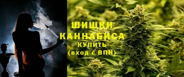 крисы Ельня