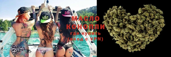 дмт Елизово
