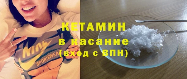 крисы Ельня