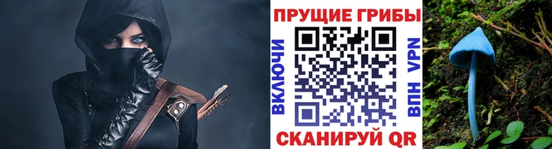 Галлюциногенные грибы мицелий Самара