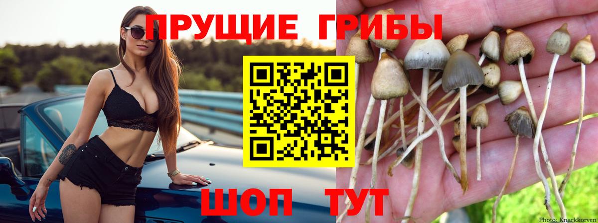 Псилоцибиновые грибы ЛСД Самара